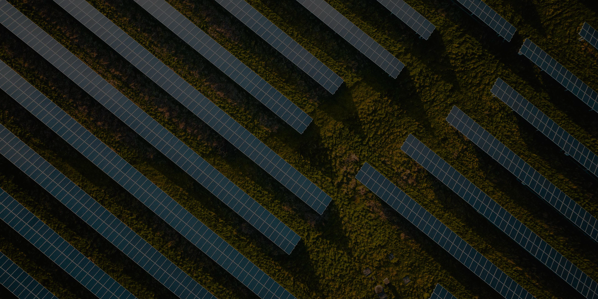 Aerial farmland