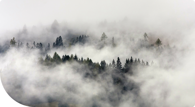 Topographic aerial